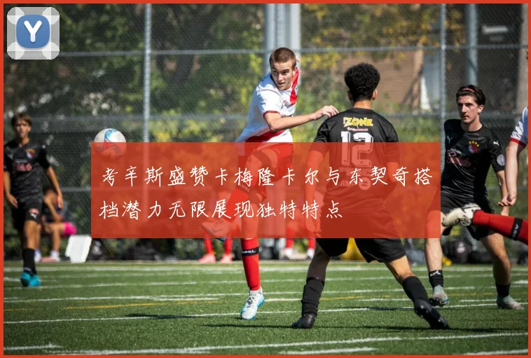 考辛斯盛赞卡梅隆卡尔与东契奇搭档潜力无限展现独特特点