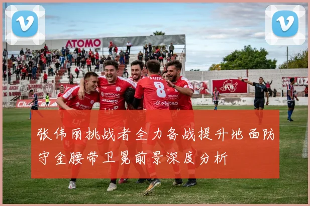 张伟丽挑战者全力备战提升地面防守金腰带卫冕前景深度分析